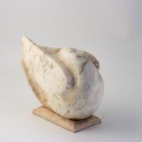 x-kalato-038-paloma1